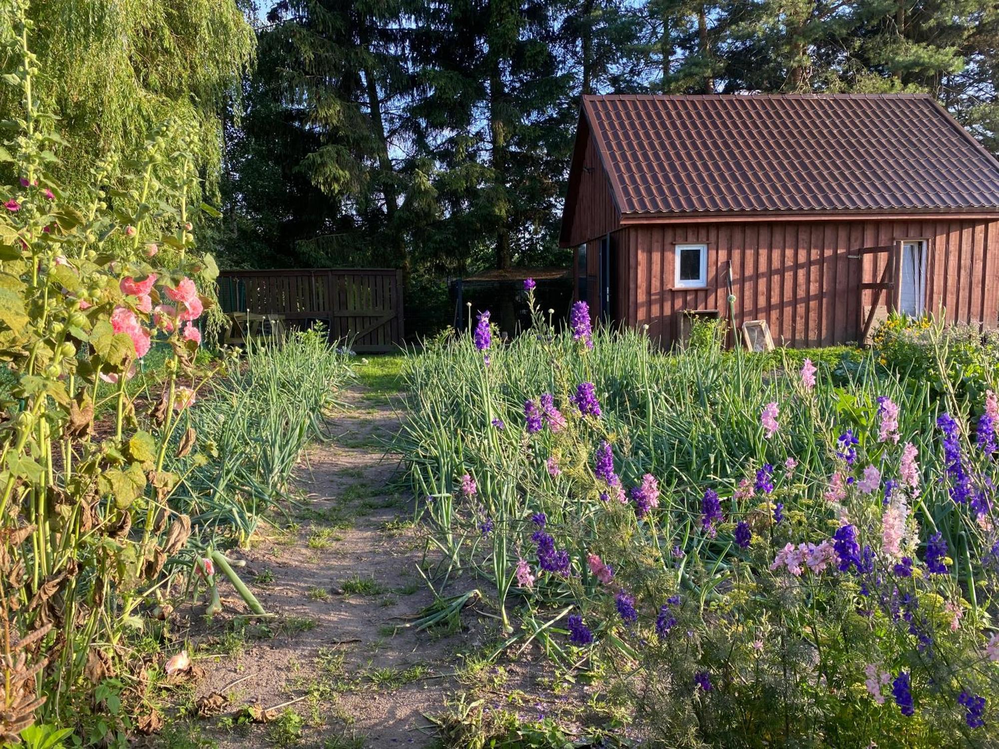 Agroturystyka Omelia Czluchow Bagian luar foto