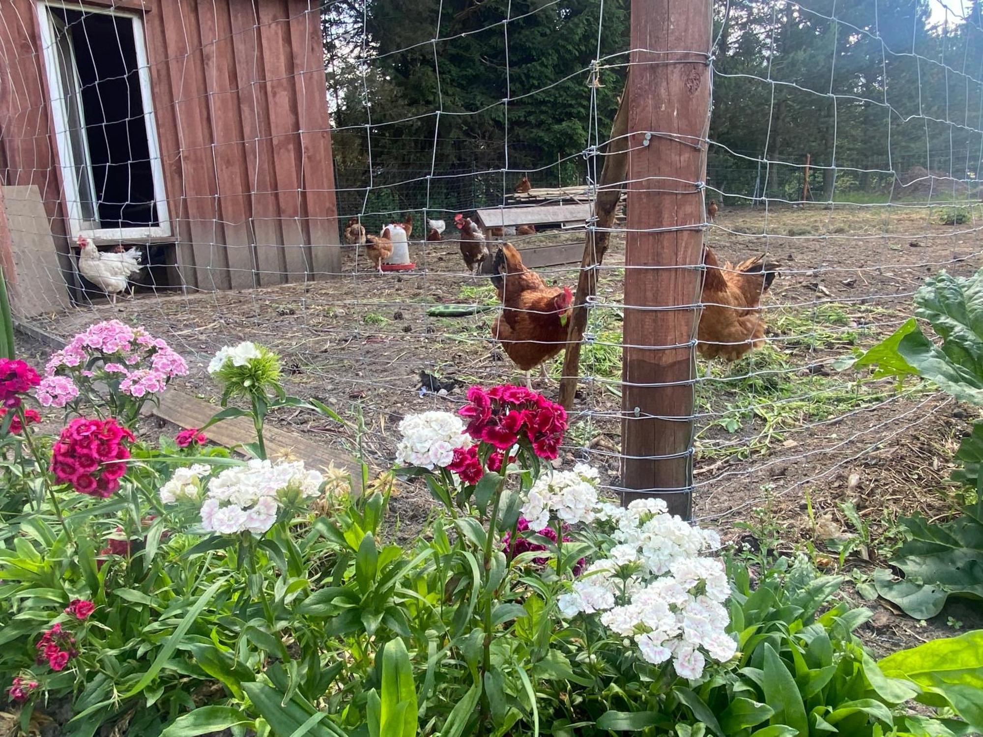 Agroturystyka Omelia Czluchow Bagian luar foto